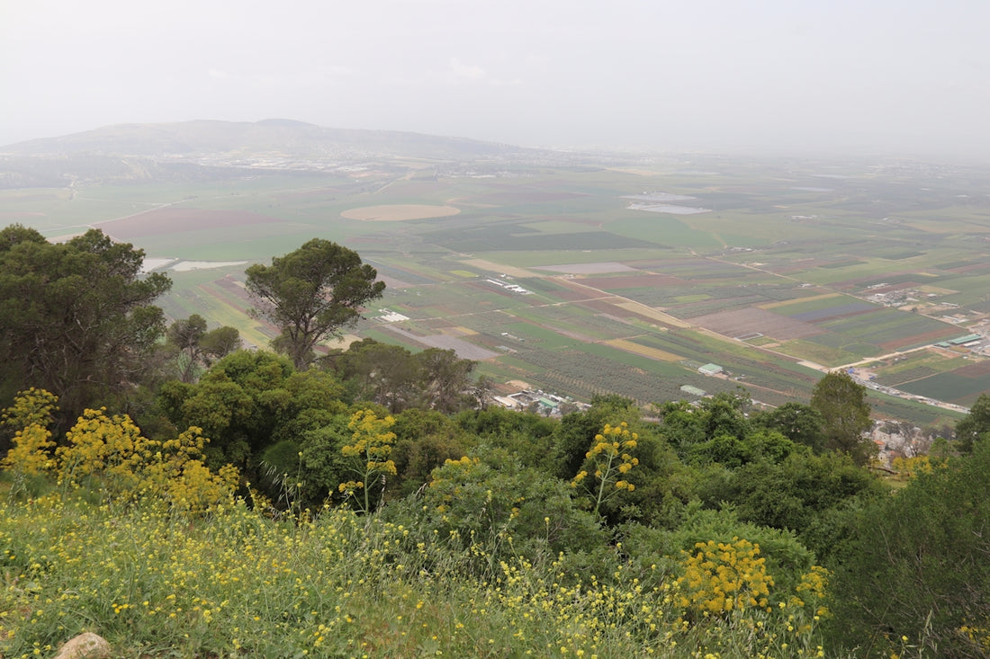 a view of the countryside from a hill