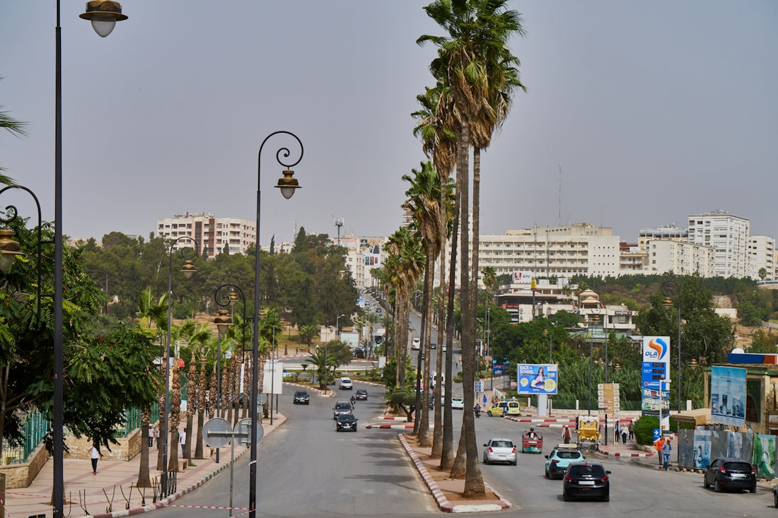 a street lined with palm trees and tall buildings
