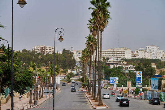 a street lined with palm trees and tall buildings