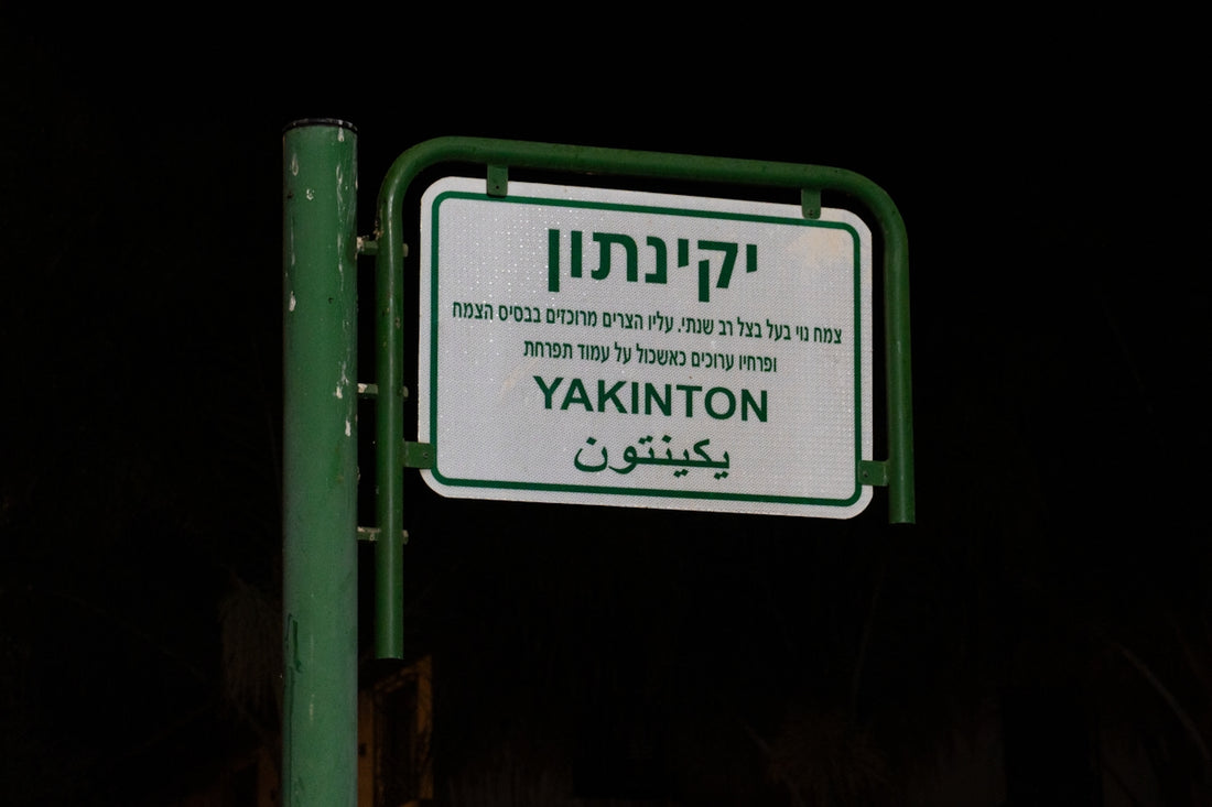 Street sign with yakinton in english and hebrew